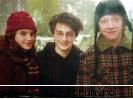 grupul - mie imi plak totzi - harry potter